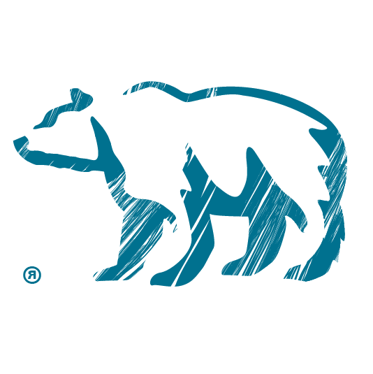 Northwoods Bear Logo